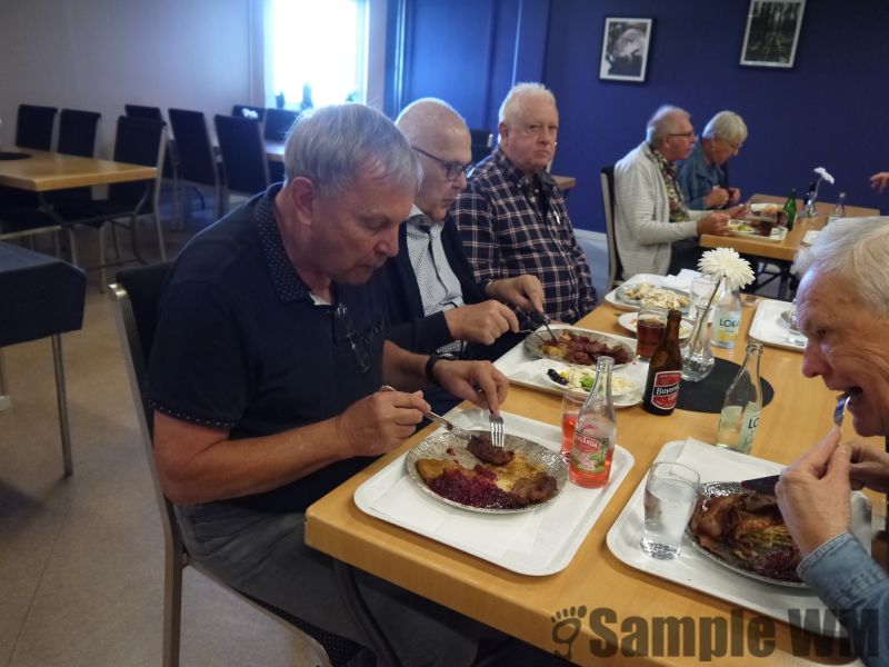SAM_96.JPG